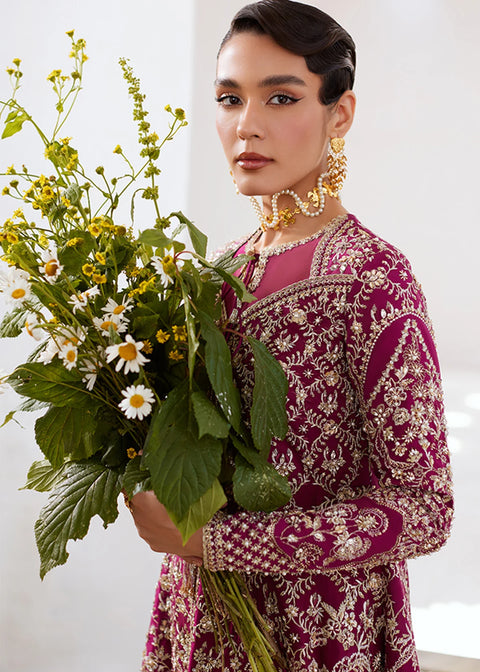 Suffuse RTW 25 AHLAM