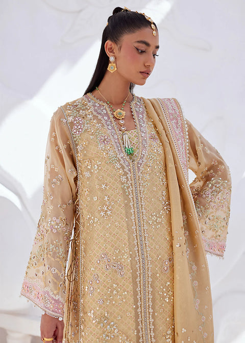 Suffuse RTW 25 SUHA