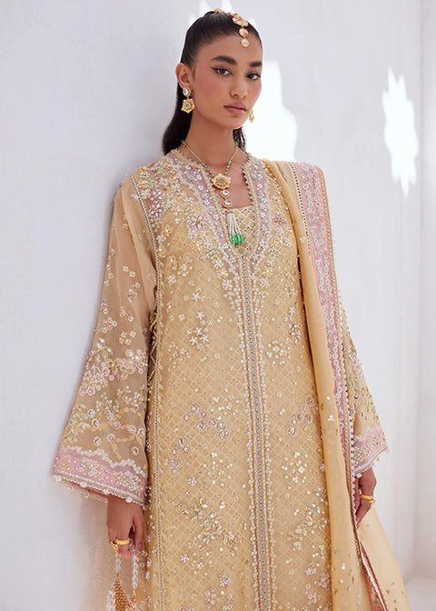 Suffuse RTW 25 SUHA