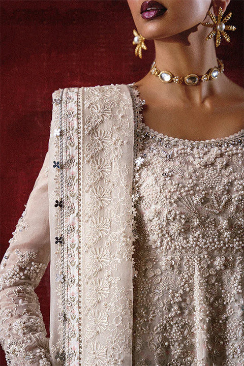 Suffuse Freeshia RTW 26 Zahrell