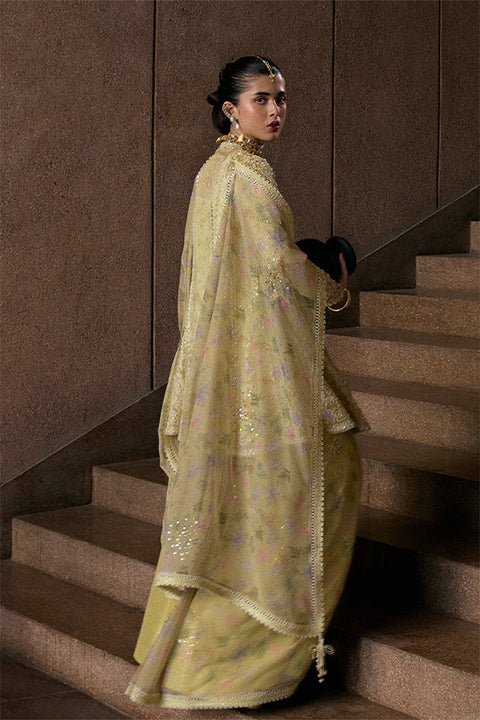 Suffuse Freeshia RTW 26 Merivah