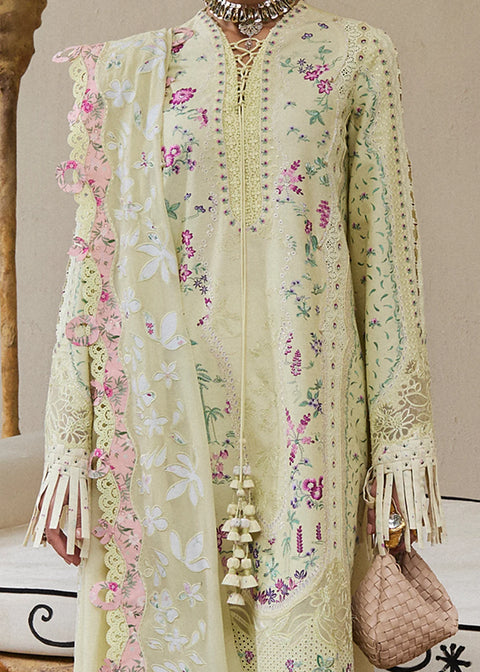 Suffuse Unstitched'25 JARA