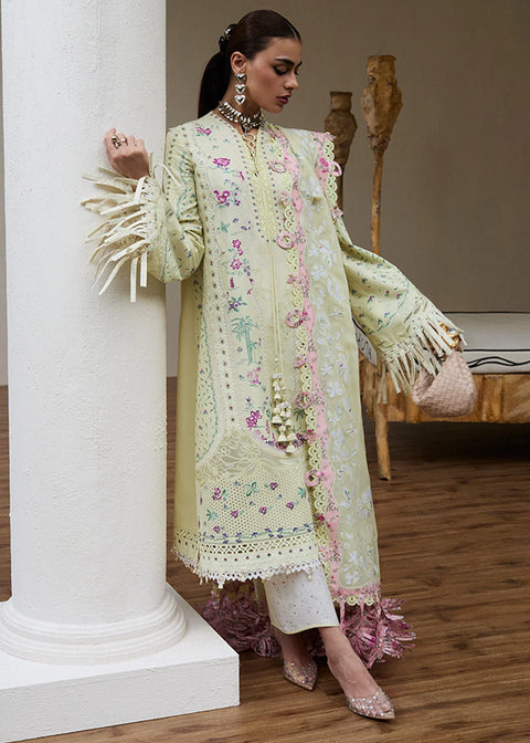 Suffuse Unstitched'25 JARA