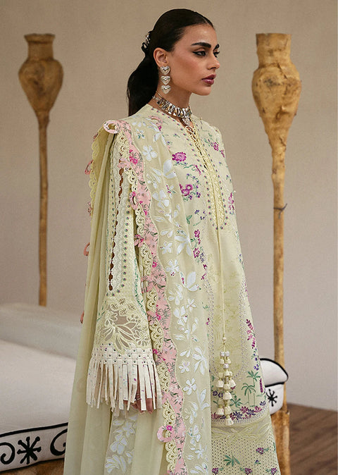Suffuse Unstitched'25 FERIDA