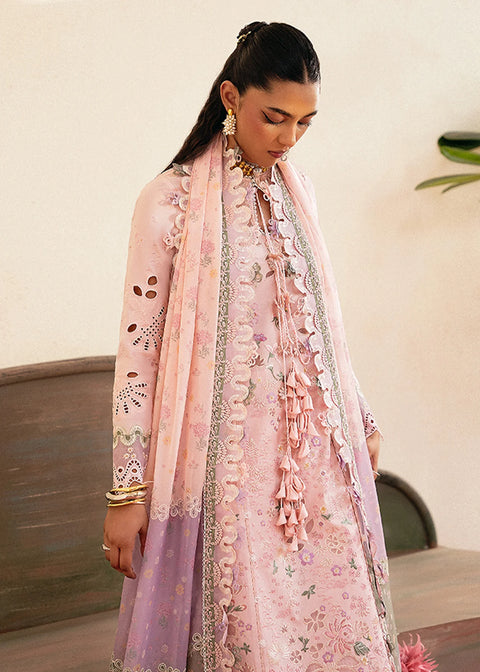Suffuse Unstitched'25 LEENA
