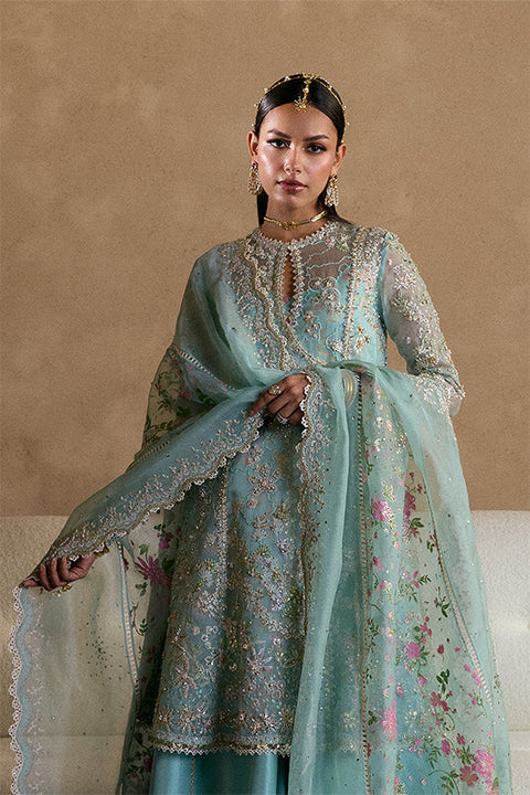 Suffuse Freeshia RTW 26 Illyra