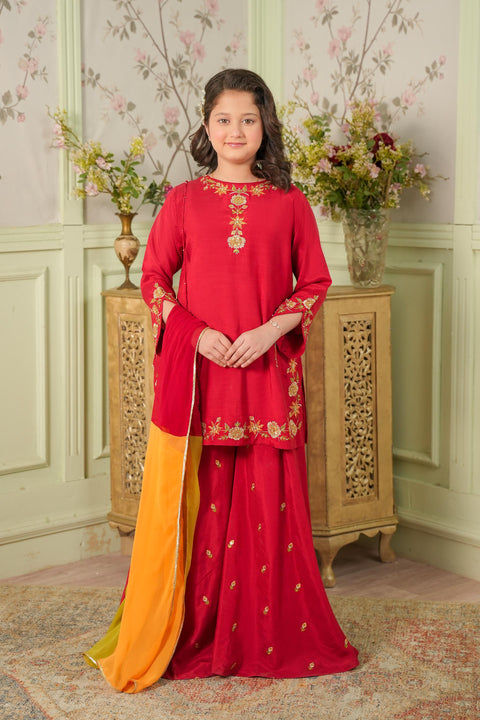 Red Raw Silk Embellished Kameez & Sharara, Pouch With Dupatta