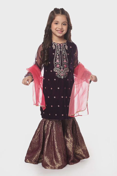 Purple Velvet Kameez Gharara & Dupatta 3pc